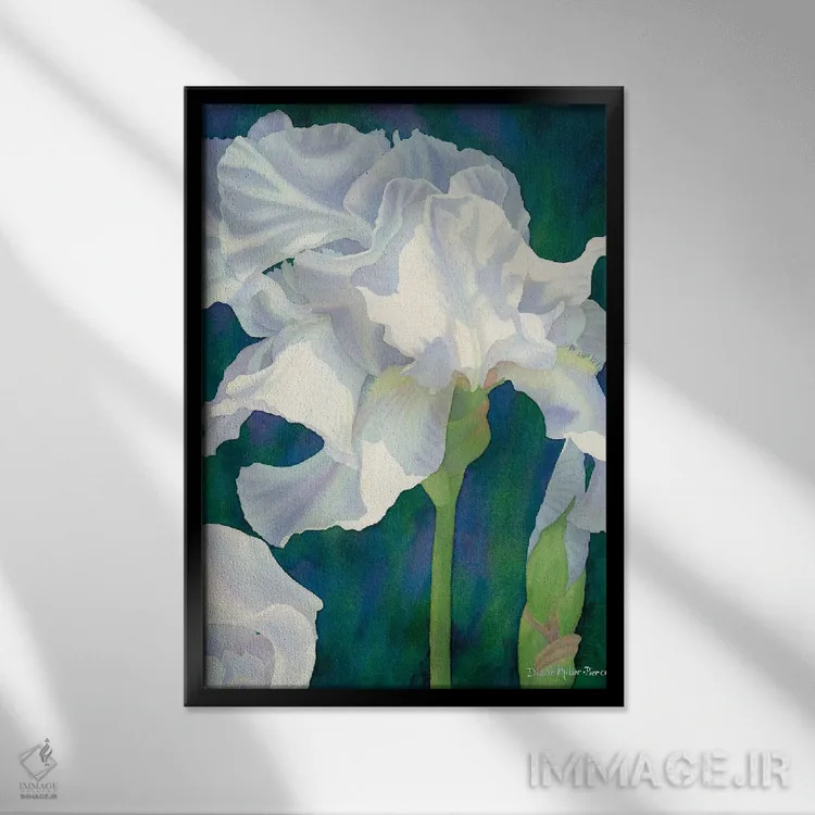 تابلو دکوراتیو بهار زودگذر - گل زنبق اثر دیانا میلر-پیرس - نمای قابدار مشکی