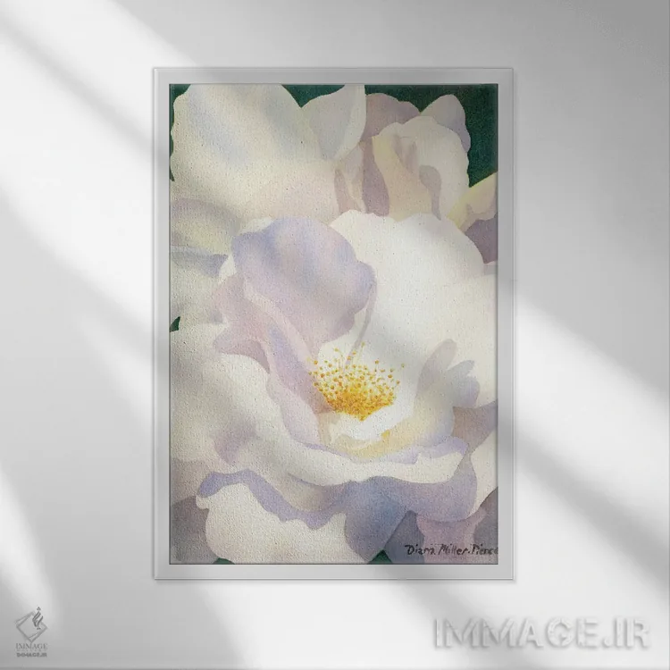 تابلو دکوراتیو سقوط به درون اثر دیانا میلر-پیرس - نمای قابدار سفید