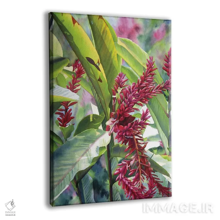 تابلو دکوراتیو زنجبیل جامائیکایی اثر دیانا میلر-پیرس - نمای پرسپکتیو محصول