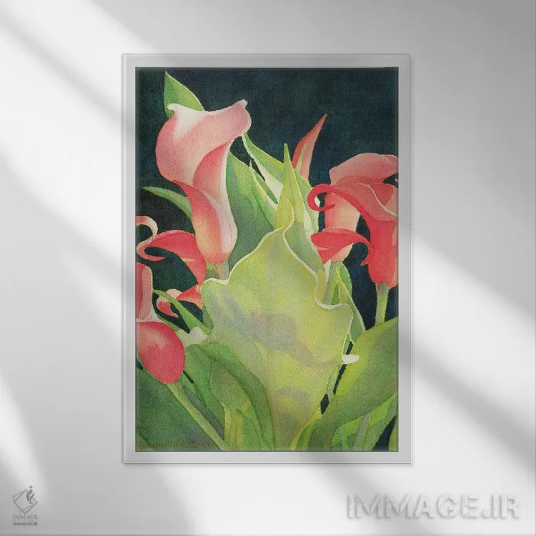 تابلو دکوراتیو دیده بان گلی - کالای لیلی اثر دیانا میلر-پیرس - نمای قابدار سفید