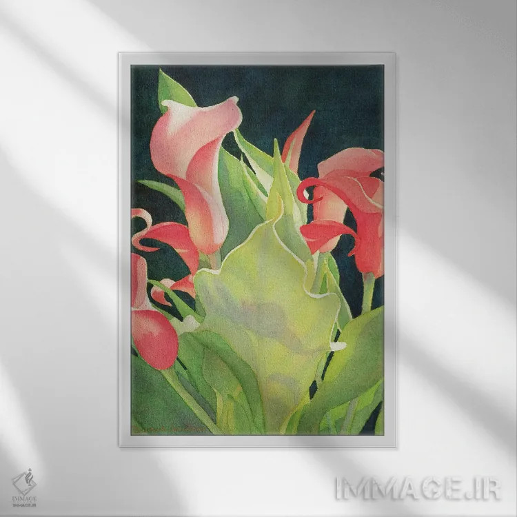 تابلو دکوراتیو دیده بان گلی - کالای لیلی اثر دیانا میلر-پیرس - نمای قابدار سفید