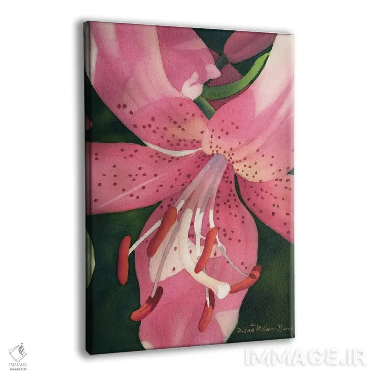 تابلو دکوراتیو فقط یک ببر اثر دیانا میلر-پیرس - نمای پرسپکتیو محصول