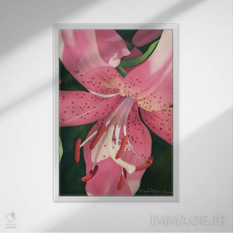 تابلو دکوراتیو فقط یک ببر اثر دیانا میلر-پیرس - نمای قابدار سفید