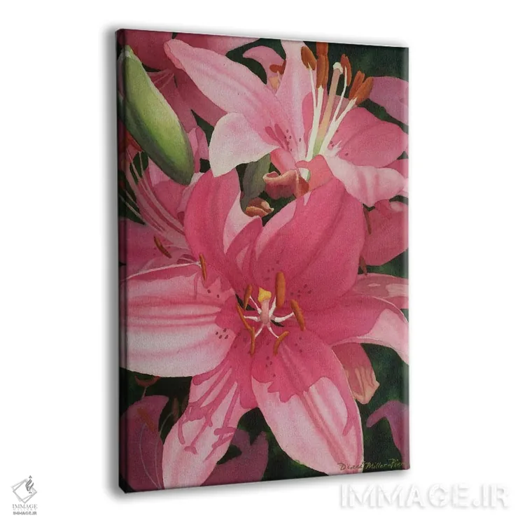 تابلو دکوراتیو شور و نشاط صورتی اثر دیانا میلر-پیرس - نمای پرسپکتیو محصول