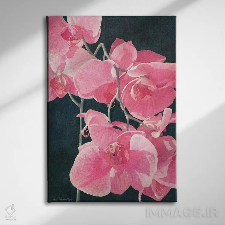 تابلو دکوراتیو شکوه عجیب صورتی اثر دیانا میلر-پیرس - نمای روبهرو روی دیوار