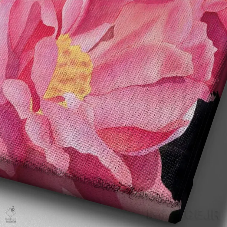 تابلو دکوراتیو گل های صورتی فراتر از عادی اثر دیانا میلر-پیرس - نمای نزدیک بافت بوم