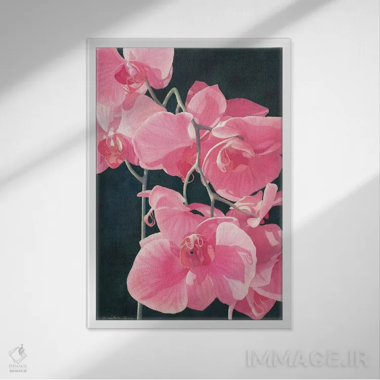 تابلو دکوراتیو شکوه عجیب صورتی اثر دیانا میلر-پیرس - نمای قابدار سفید