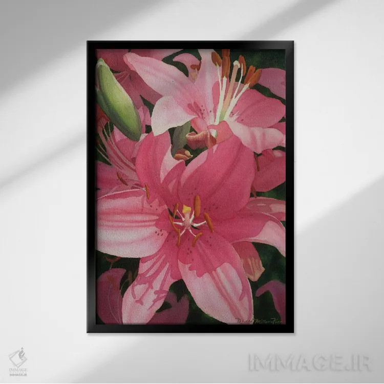 تابلو دکوراتیو شور و نشاط صورتی اثر دیانا میلر-پیرس - نمای قابدار مشکی