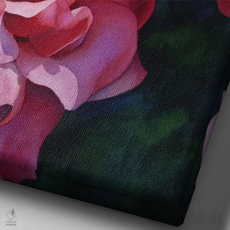 تابلو دکوراتیو رزها قرمز هستند اثر دیانا میلر-پیرس - نمای نزدیک بافت بوم