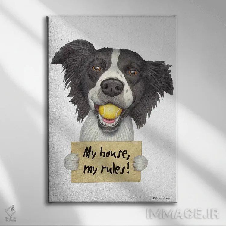 تابلو دکوراتیو بردر کولی اثر دنی گوردون - نمای روبهرو روی دیوار