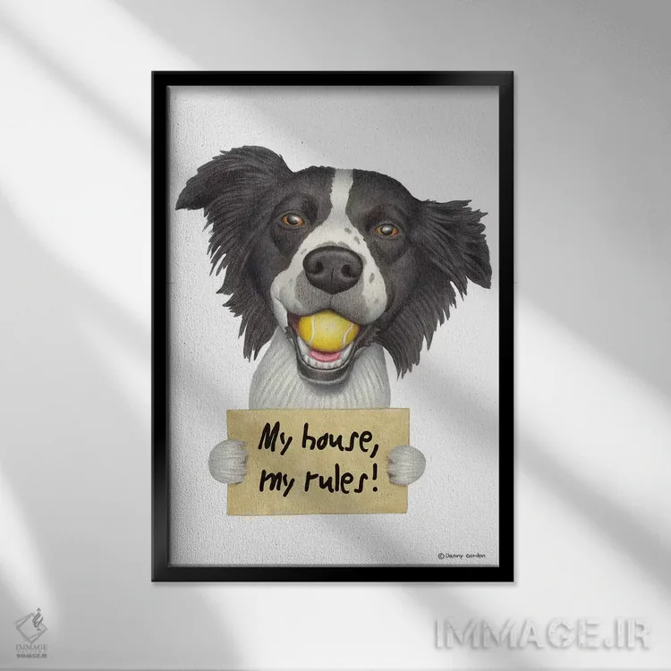 تابلو دکوراتیو بردر کولی اثر دنی گوردون - نمای قابدار مشکی