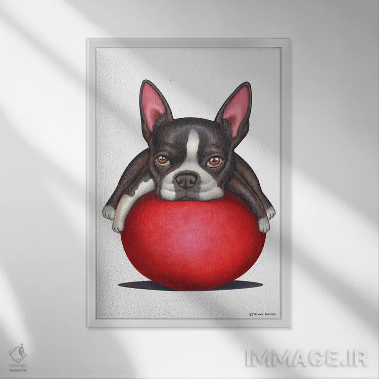 تابلو دکوراتیو تریر بوستون اثر دنی گوردون - نمای قابدار سفید