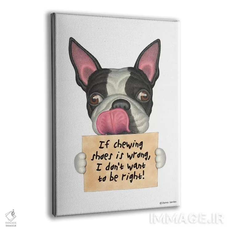 تابلو دکوراتیو تریر بوستون: نمی خواهم حق با من باشد اثر دنی گوردون - نمای پرسپکتیو محصول