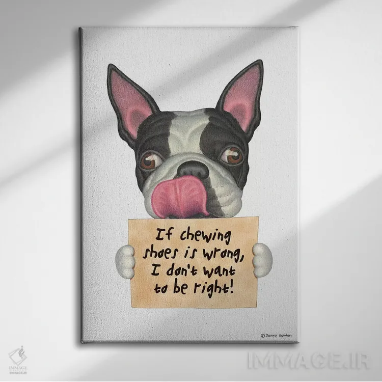 تابلو دکوراتیو تریر بوستون: نمی خواهم حق با من باشد اثر دنی گوردون - نمای روبهرو روی دیوار
