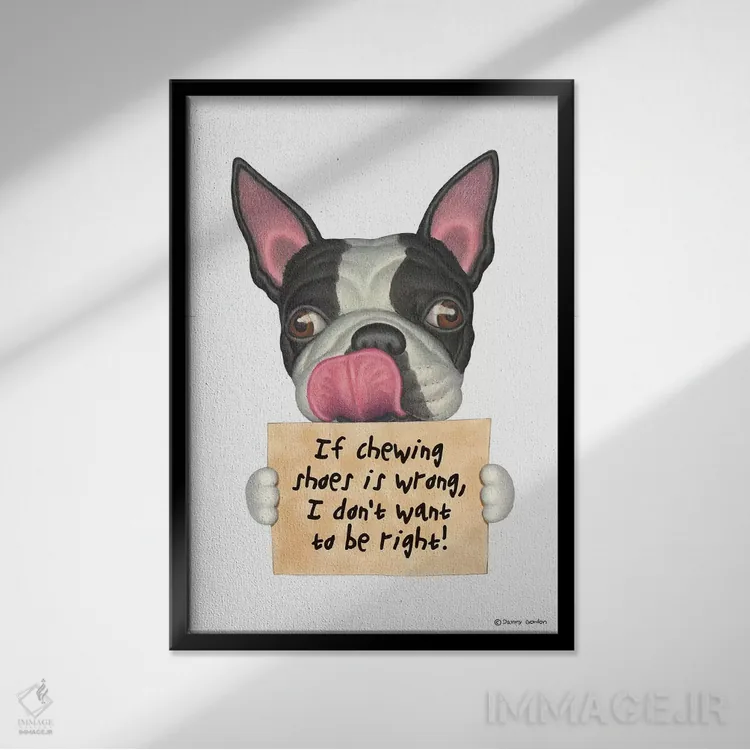 تابلو دکوراتیو تریر بوستون: نمی خواهم حق با من باشد اثر دنی گوردون - نمای قابدار مشکی