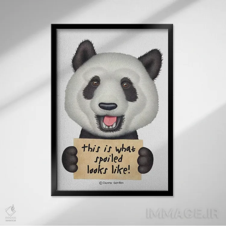 تابلو دکوراتیو پاندا اثر دنی گوردون - نمای قابدار مشکی