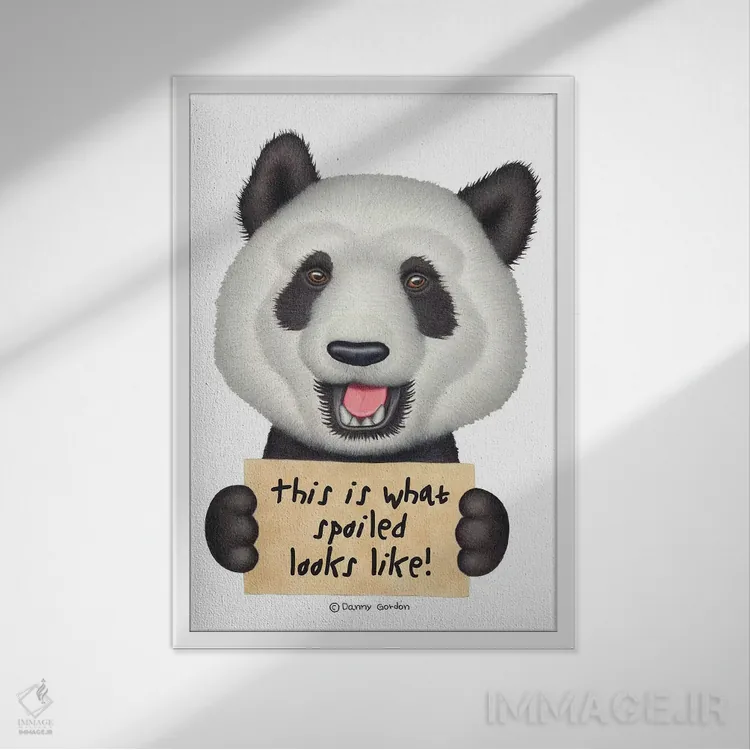 تابلو دکوراتیو پاندا اثر دنی گوردون - نمای قابدار سفید