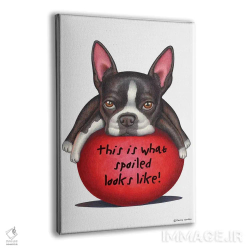 تابلو دکوراتیو تریر بوستون: لوس همینطور به نظر میاد اثر دنی گوردون - نمای پرسپکتیو محصول