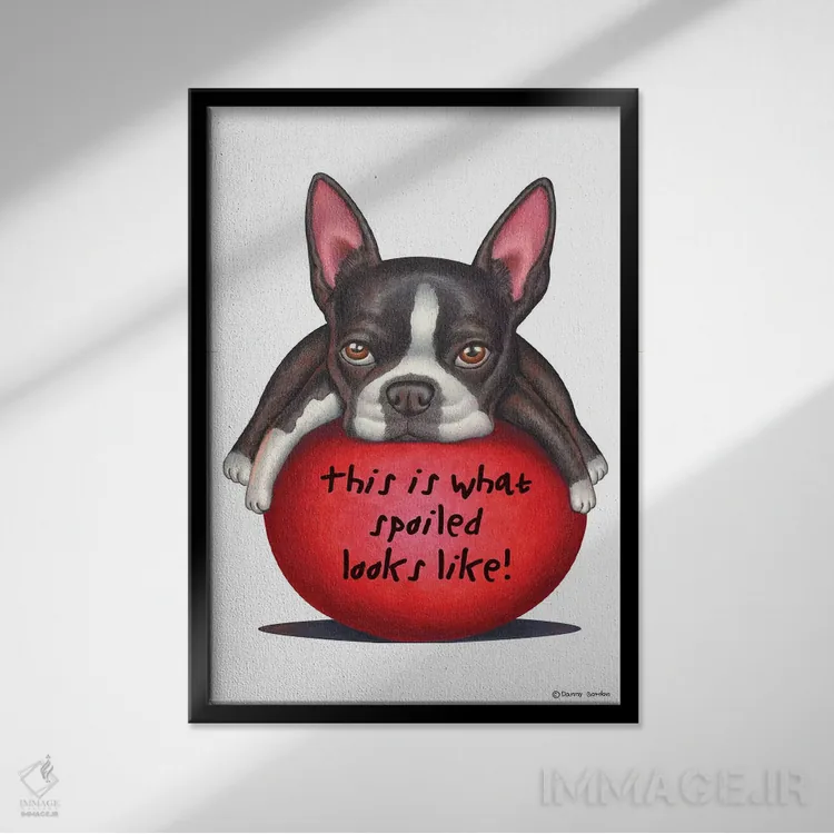 تابلو دکوراتیو تریر بوستون: لوس همینطور به نظر میاد اثر دنی گوردون - نمای قابدار مشکی