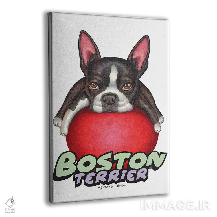 تابلو دکوراتیو تریر بوستون با توپ قرمز اثر دنی گوردون - نمای پرسپکتیو محصول