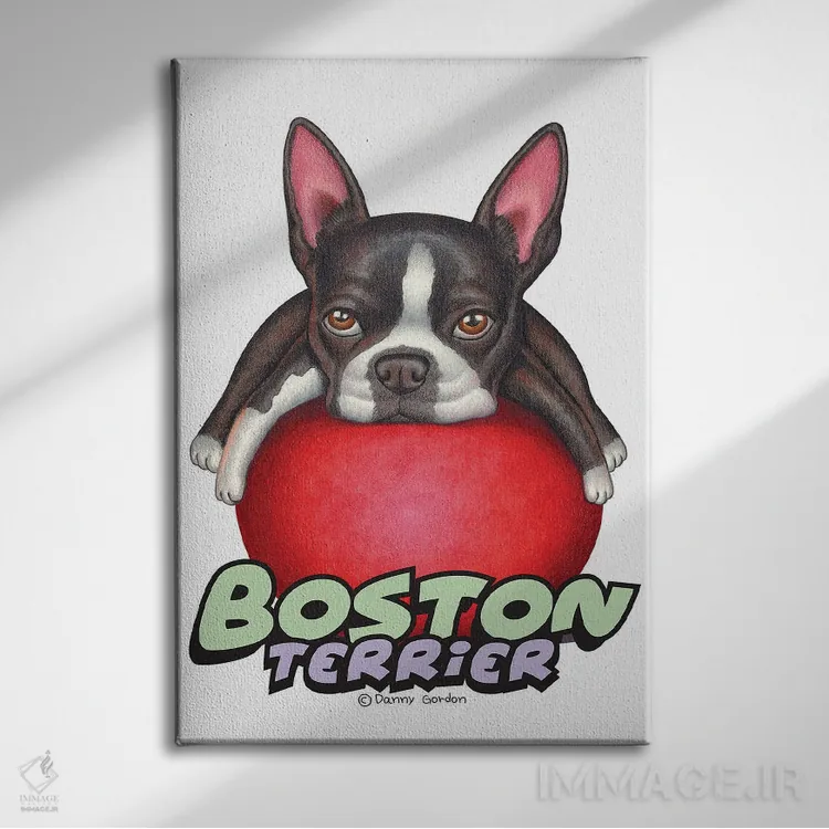 تابلو دکوراتیو تریر بوستون با توپ قرمز اثر دنی گوردون - نمای روبهرو روی دیوار