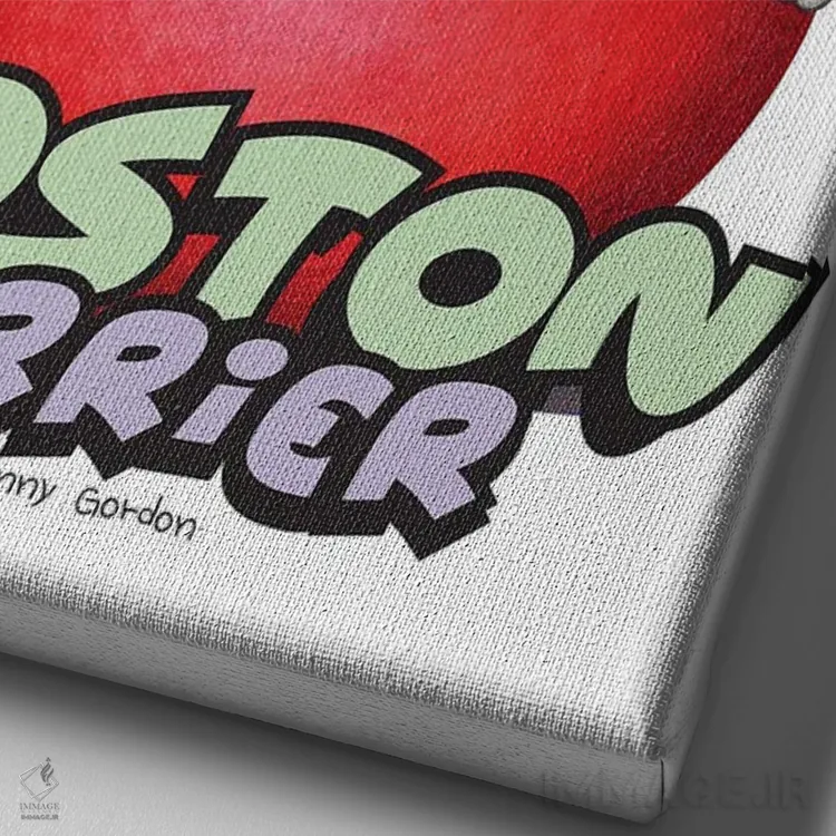 تابلو دکوراتیو تریر بوستون با توپ قرمز اثر دنی گوردون - نمای نزدیک بافت بوم