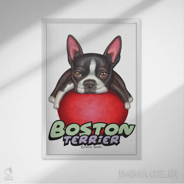 تابلو دکوراتیو تریر بوستون با توپ قرمز اثر دنی گوردون - نمای قابدار سفید