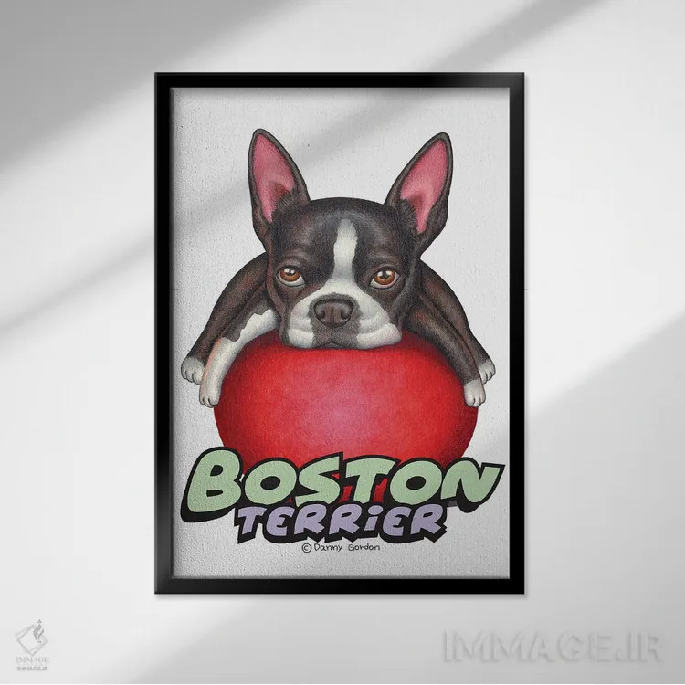 تابلو دکوراتیو تریر بوستون با توپ قرمز اثر دنی گوردون - نمای قابدار مشکی