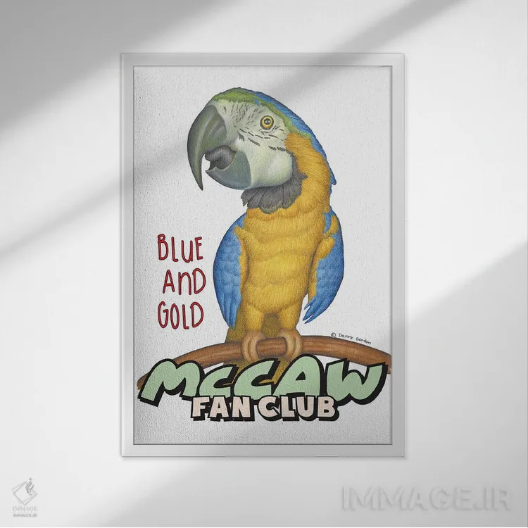 تابلو دکوراتیو باشگاه هواداران طوطی ماکائو آبی و زرد اثر دنی گوردون - نمای قابدار سفید
