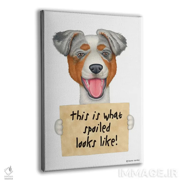 تابلو دکوراتیو شیپرد استرالیایی اثر دنی گوردون - نمای پرسپکتیو محصول