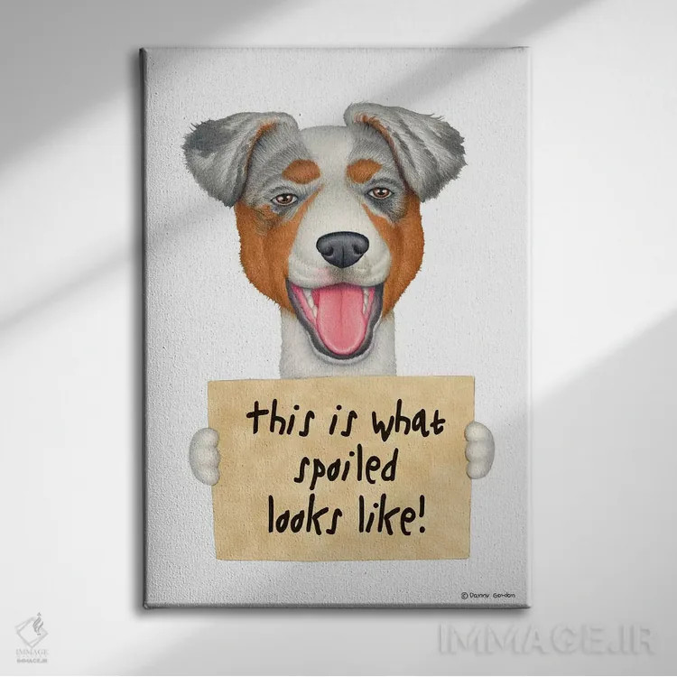 تابلو دکوراتیو شیپرد استرالیایی اثر دنی گوردون - نمای روبهرو روی دیوار