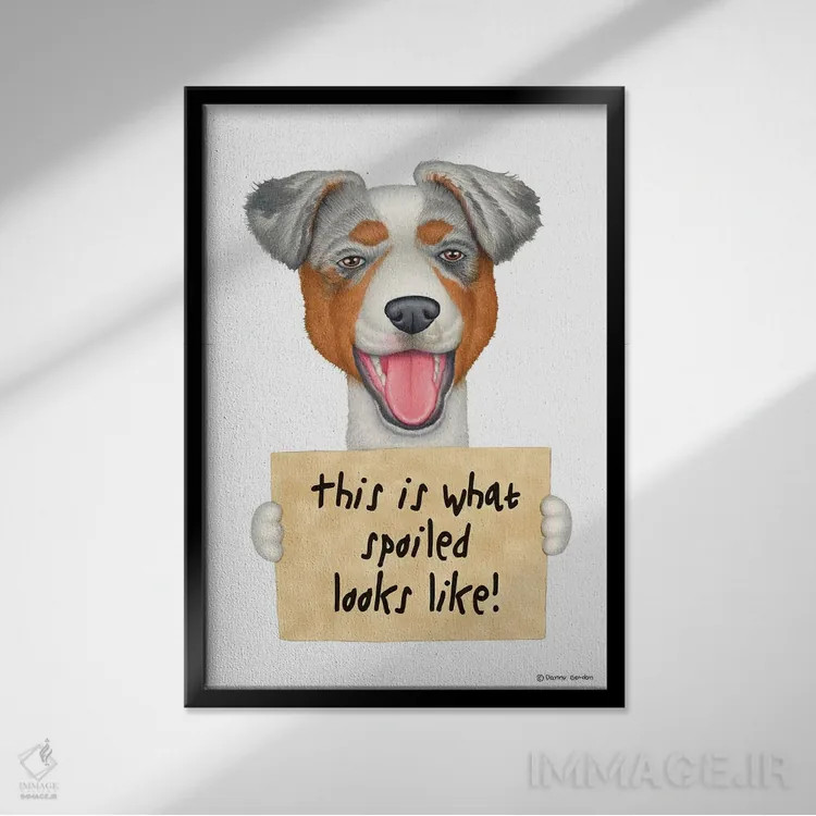 تابلو دکوراتیو شیپرد استرالیایی اثر دنی گوردون - نمای قابدار مشکی