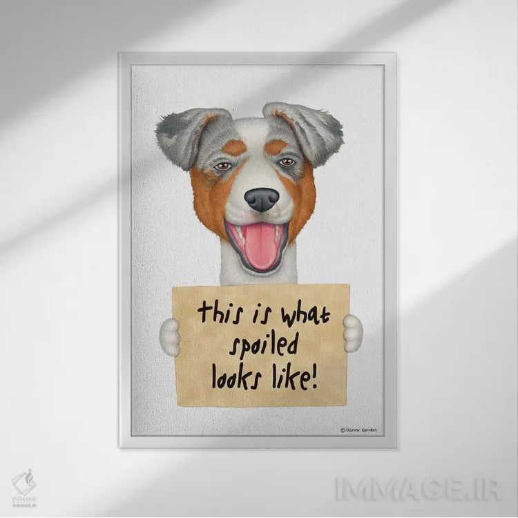 تابلو دکوراتیو شیپرد استرالیایی اثر دنی گوردون - نمای قابدار سفید