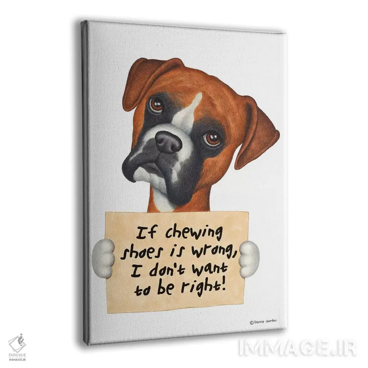 تابلو دکوراتیو باکسر: نمی خواهم حق با من باشد اثر دنی گوردون - نمای پرسپکتیو محصول
