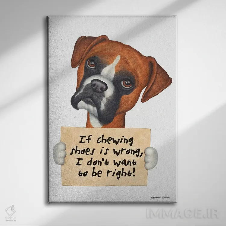 تابلو دکوراتیو باکسر: نمی خواهم حق با من باشد اثر دنی گوردون - نمای روبهرو روی دیوار