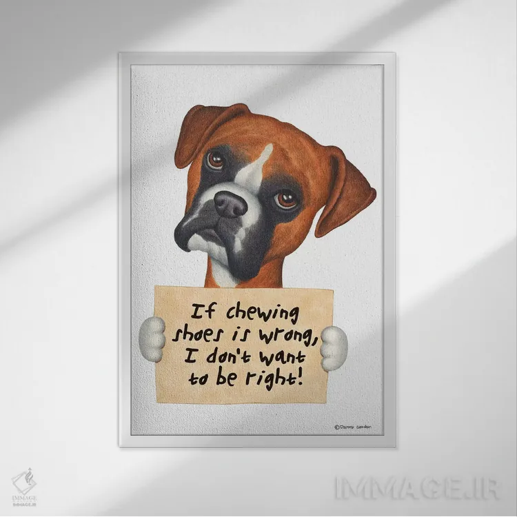 تابلو دکوراتیو باکسر: نمی خواهم حق با من باشد اثر دنی گوردون - نمای قابدار سفید