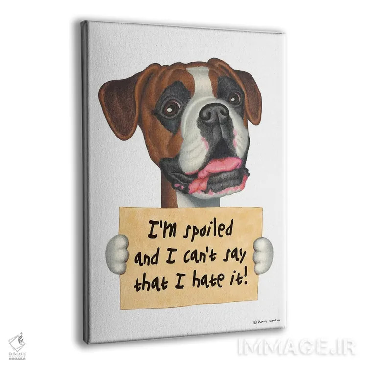 تابلو دکوراتیو باکسر: من لوس هستم اثر دنی گوردون - نمای پرسپکتیو محصول