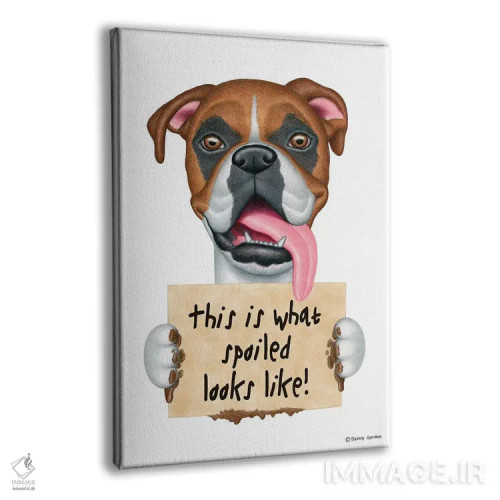 تابلو دکوراتیو باکسر قیافه لوس شده اثر دنی گوردون - نمای پرسپکتیو محصول