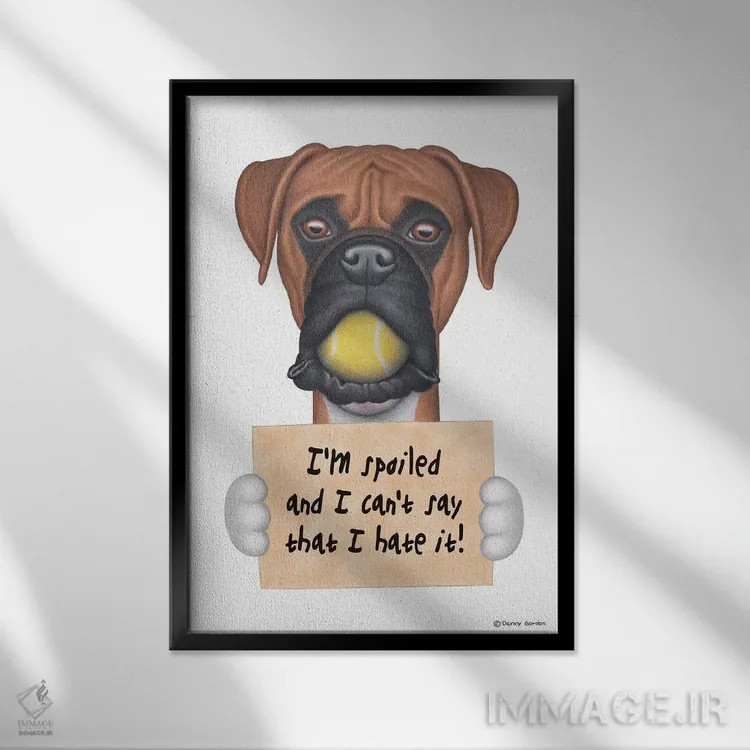 تابلو دکوراتیو باکسر من لوسم با توپ تنیس اثر دنی گوردون - نمای قابدار مشکی