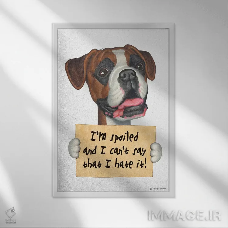 تابلو دکوراتیو باکسر: من لوس هستم اثر دنی گوردون - نمای قابدار سفید