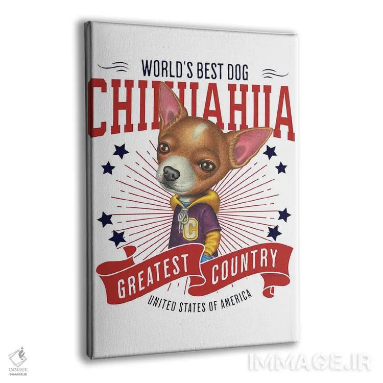 تابلو دکوراتیو چی هواهوا با هودی آمریکا اثر دنی گوردون - نمای پرسپکتیو محصول