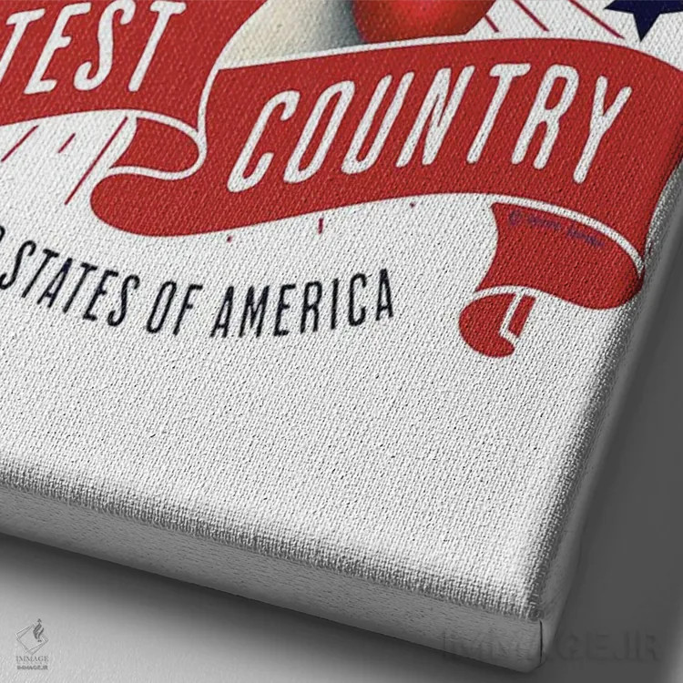 تابلو دکوراتیو سگ باکسر مشت زن آمریکا اثر دنی گوردون - نمای نزدیک بافت بوم