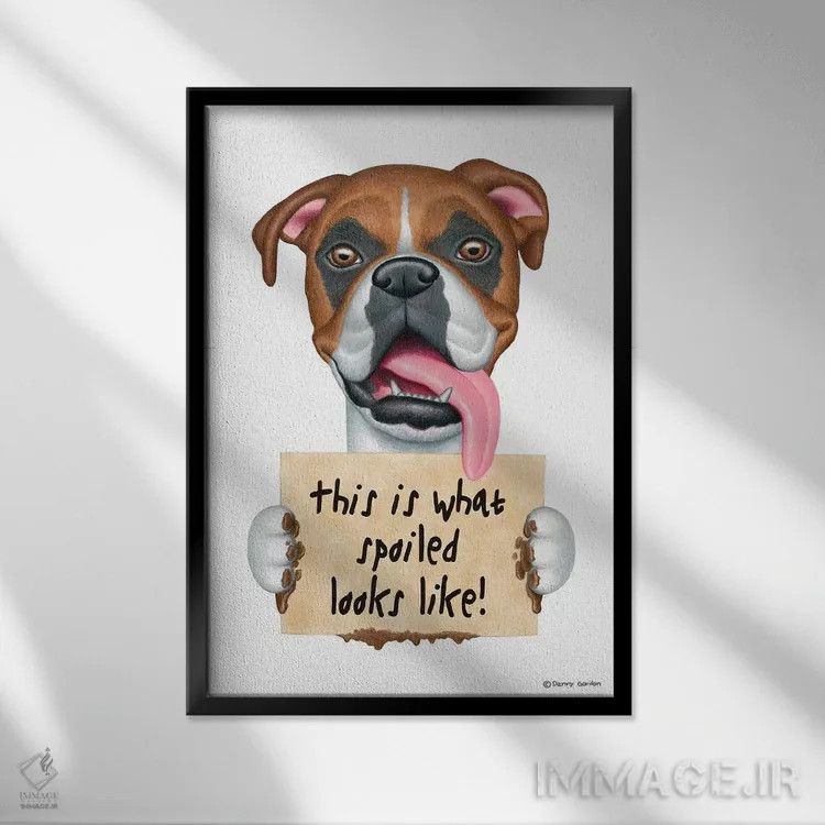 تابلو دکوراتیو باکسر قیافه لوس شده اثر دنی گوردون - نمای قابدار مشکی