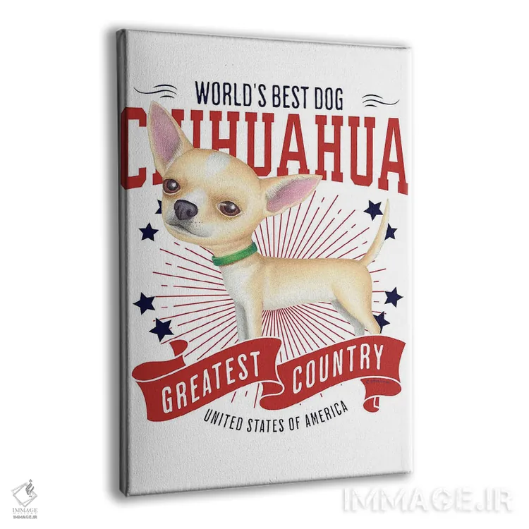 تابلو دکوراتیو چی هواهوا طلایی آمریکا اثر دنی گوردون - نمای پرسپکتیو محصول