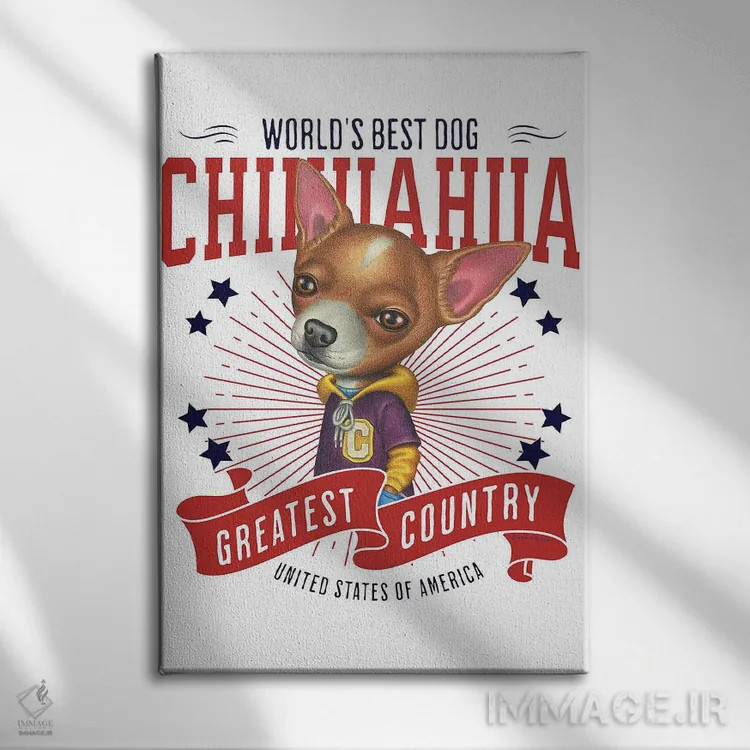 تابلو دکوراتیو چی هواهوا با هودی آمریکا اثر دنی گوردون - نمای روبهرو روی دیوار