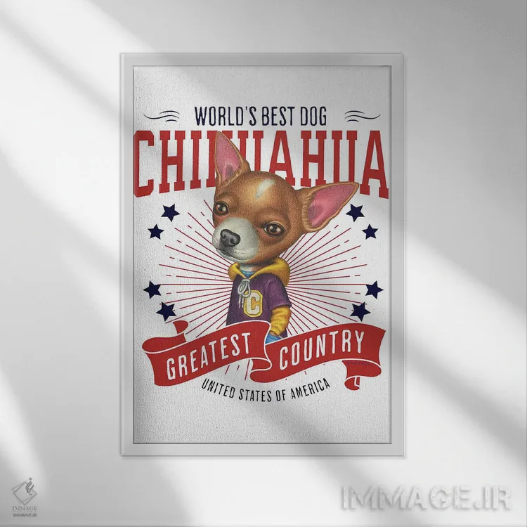 تابلو دکوراتیو چی هواهوا با هودی آمریکا اثر دنی گوردون - نمای قابدار سفید