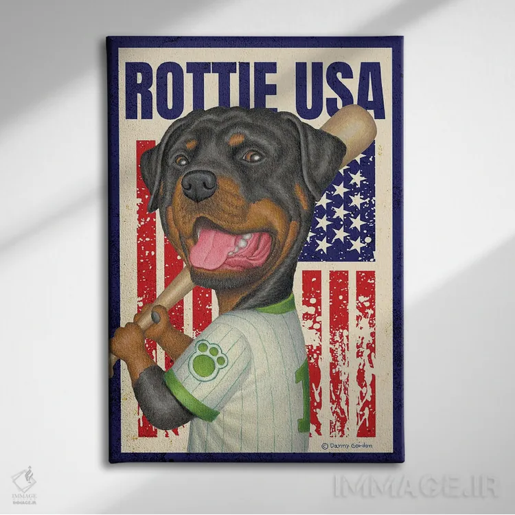 تابلو دکوراتیو روت وایлер بیسبال آمریکا با پرچم اثر دنی گوردون - نمای روبهرو روی دیوار