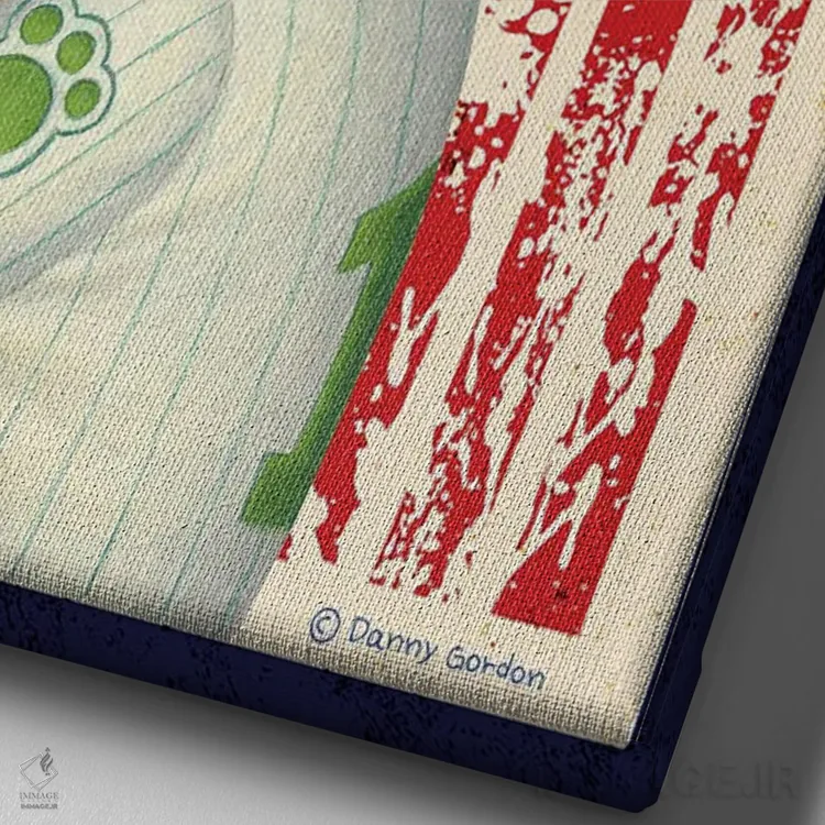 تابلو دکوراتیو روت وایлер بیسبال آمریکا با پرچم اثر دنی گوردون - نمای نزدیک بافت بوم