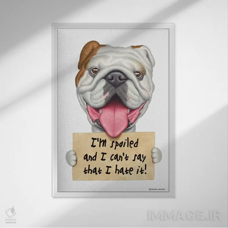 تابلو دکوراتیو بولداگ اثر دنی گوردون - نمای قابدار سفید