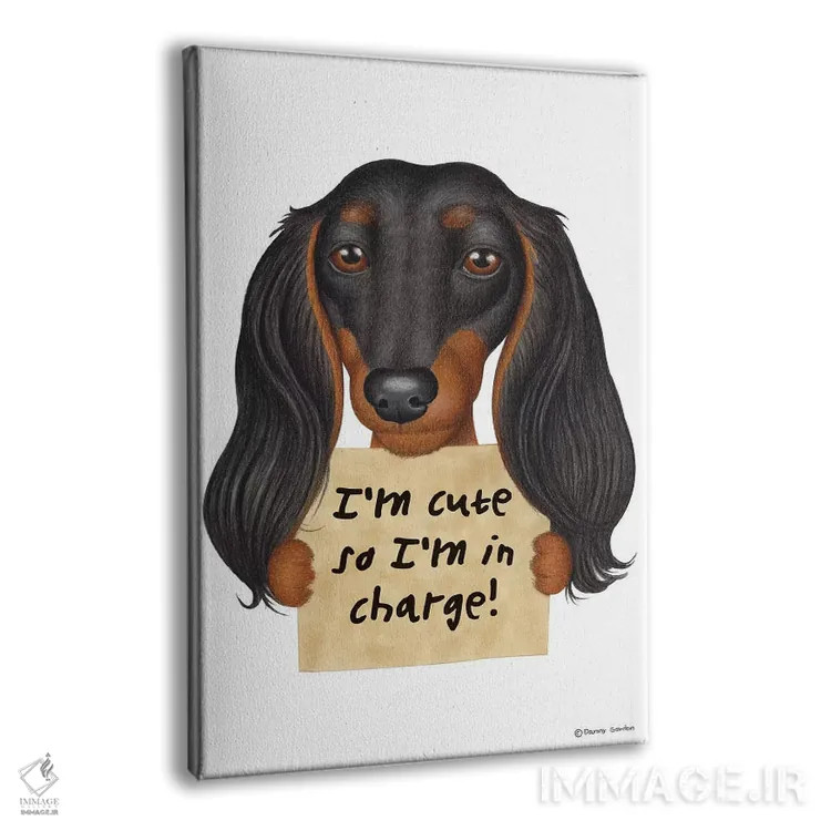 تابلو دکوراتیو داشهوند: من بامزه ام، گوش های بلند و پشمالو اثر دنی گوردون - نمای پرسپکتیو محصول